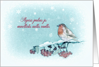 Merry Christmas in Finnish, Robin, Berries, Painting card