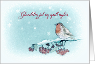 Merry Christmas in Danish, Robin, Berries, Painting card