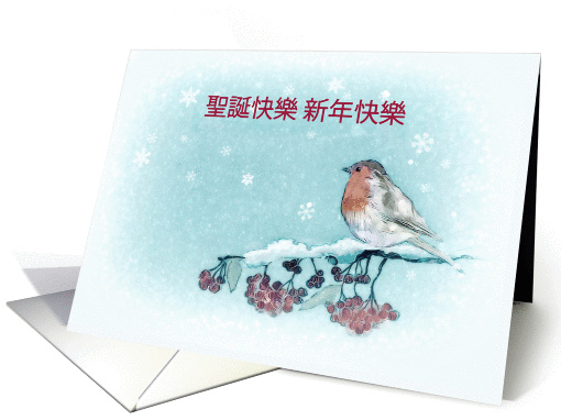 Merry Christmas in Chinese, Robin, Berries, Painting card (1399940)