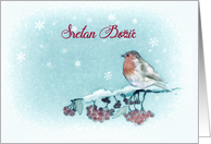 Merry Christmas in Bosnian, Robin, Berries, Painting card