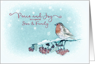 Peace and Joy to a special Son and his Family, Robin, Painting card