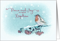 Peace and Joy to a special Nephew, Christmas Card, Robin card