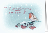 Peace and Joy, Brother and Sister in Law, Christmas Card, Robin card