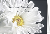 Peace and Comfort to...