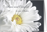 Peace and Comfort to our Pastor, Christian Sympathy, White Flower card