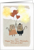 Romantic Customize for any Name, Happy New Year, Two Cats, Fireworks card