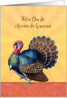 Happy Thanksgiving in Spanish, Feliz Dia de Accion de Gracias, Turkey card