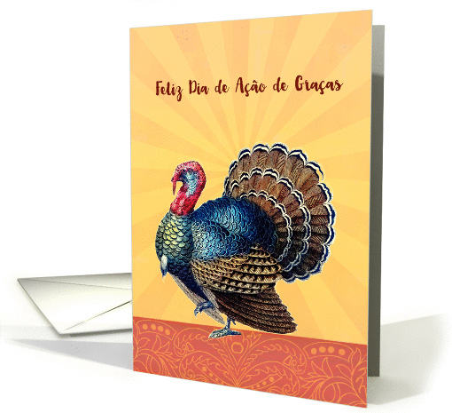 Happy Thanksgiving in Portuguese, Feliz dia de ao de... (1411398)