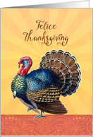 Happy Thanksgiving in Italian, Felice Thanksgiving, Turkey card