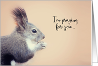 I’m praying for you, Get Well Soon, Squirrel, Isaiah 41:10 card