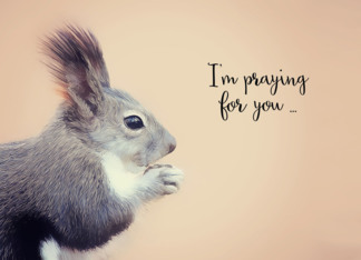 I'm praying for you,...