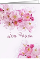 Happy Easter in Portuguese, Boa Pscoa, Pink/White Cherry Blossoms, card