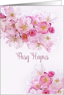 Happy Easter in Welsh, Pasg Hapus, Pink/White Cherry Blossoms, card