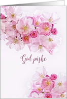 Happy Easter in Norwegian, Pink/White Cherry Blossoms, card