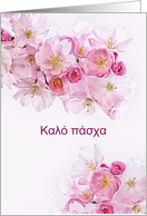 Happy Easter in Greek, Pink Cherry Blossoms card