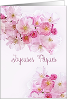 Happy Easter in French, Joyeuses Pques, Pink Cherry Blossoms card