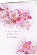Blessings at Easter, Across the Miles, Cherry Blossoms card