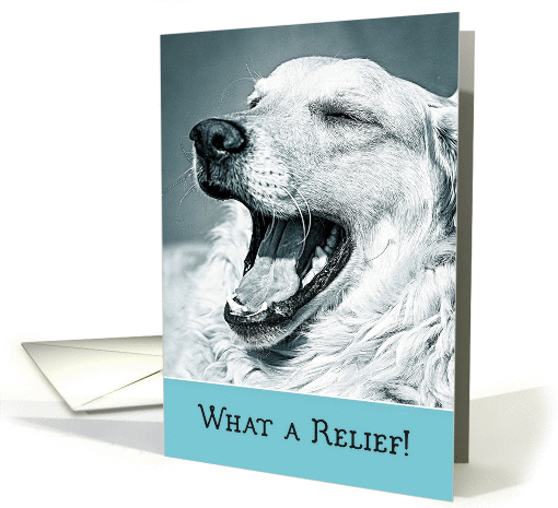 Congratulations, Port Removed, Happy Dog card (1421886)