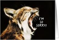 I’m so sorry, Apology, wailing, distressed Cat card