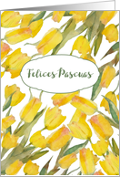 Happy Easter in Spanish, Felices Pascuas, Tulips, Watercolor Painting card