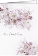 Our Condolences, Sympathy Card, White Blossoms card