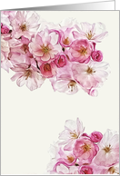 Any Occasion Blank Note Card, Spring Cherry Blossoms card