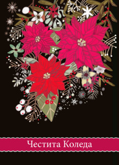 Merry Christmas in Bulgarian, Poinsettias