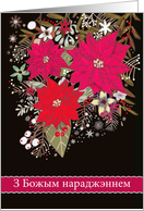 Merry Christmas in Belarusian, Poinsettias card