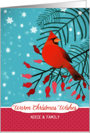 To my Niece and her Family, Warm Christmas Wishes, Red Cardinal card