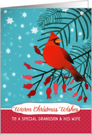 Grandson and his Wife, Warm Christmas Wishes, Red Cardinal card