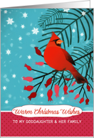 Warm Christmas Wishes, Goddaughter & her Family, Cardinal card