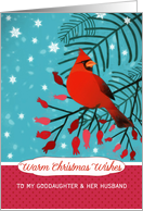 Warm Christmas Wishes, Goddaughter & her Husband, Cardinal card