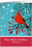 To Both of You, Warm Christmas Wishes, Cardinal, Berries card