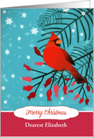 Customizable, Merry Christmas, Cardinal, Berries, Fir Branches, card