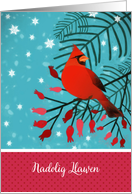 Merry Christmas in Welsh, Nadolig Llawen, Cardinal Bird card