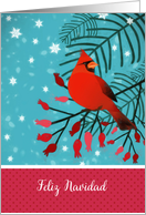 Merry Christmas in Spanish, Cardinal Bird card
