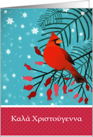 Merry Christmas in Greek, Kal hristyenna, Cardinal Bird card