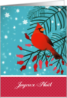 Merry Christmas in French, Joyeux Nol, Cardinal Bird card