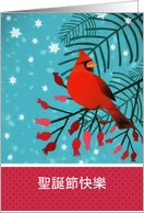 Merry Christmas in Chinese, Cardinal Bird card