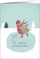 Happy Birthday in Russian, Skating Robin card