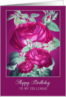 Happy Birthday to my Colleague, Purple/Red Roses card