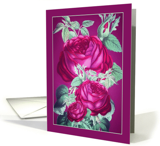 Blank, All Occasions Note Card, Pink, Purple and Red Roses card