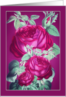 Blank, All Occasions Note Card, Pink, Purple and Red Roses card
