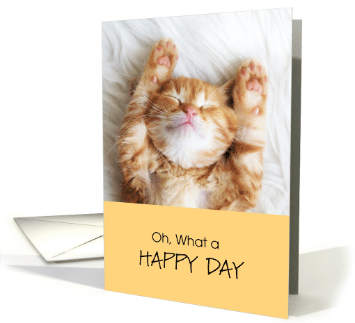 Congratulations on your Retirement, Happy Cat card (1476154)