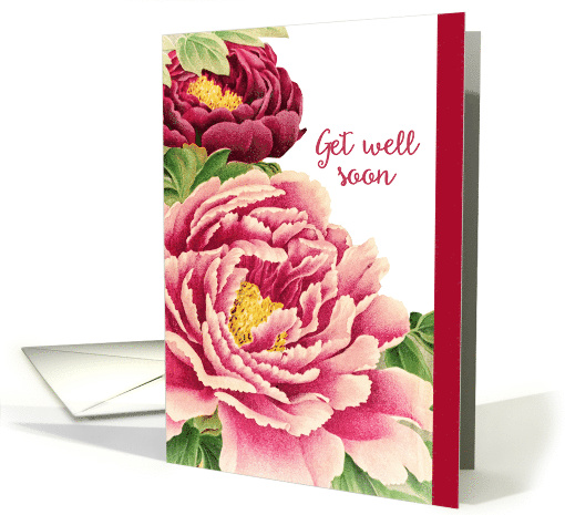 Get Well Soon, Vintage Peonies card (1483924)