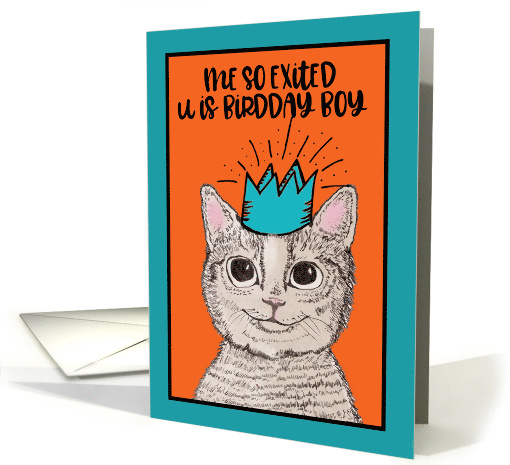 Happy Birthday, Me so Exited, U is Birdday Boy, Grinning Cat card