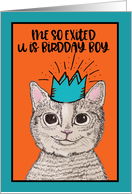 Happy Birthday, Me so Exited, U is Birdday Boy, Grinning Cat card