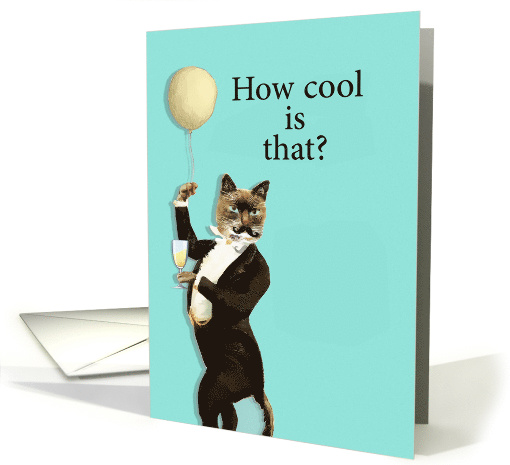 Congratulations Retirement, Cat in tuxedo, Champagne and Balloon card