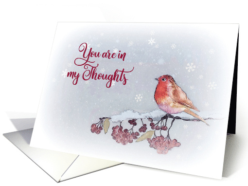 You are in my thoughts, Religious, Christmas, Remembrance, Robin card
