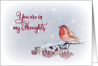 You are in my thoughts, Religious, Christmas, Remembrance, Robin card